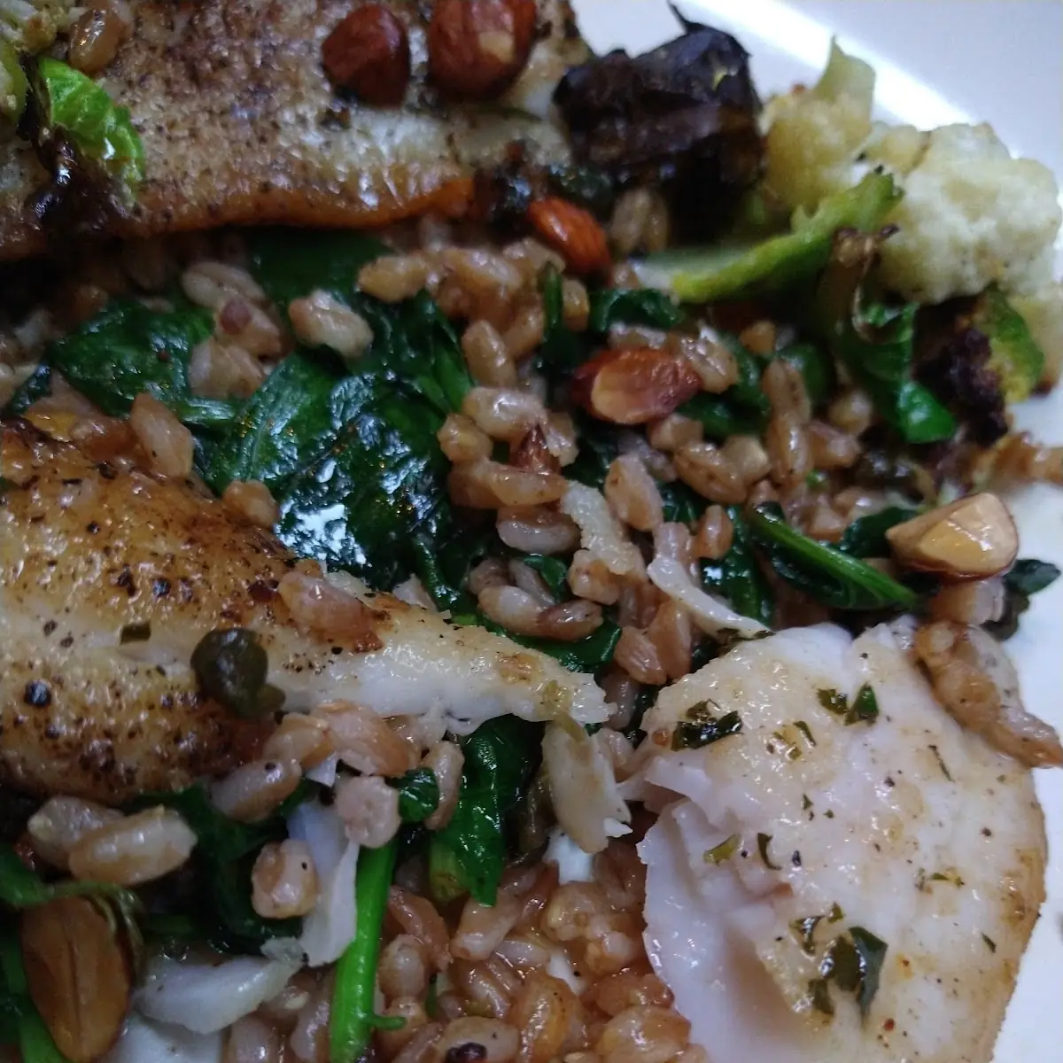 Pine Nut and Currant-Crusted Local Petrale Sole Cauliflower Toasted Farro Rapini