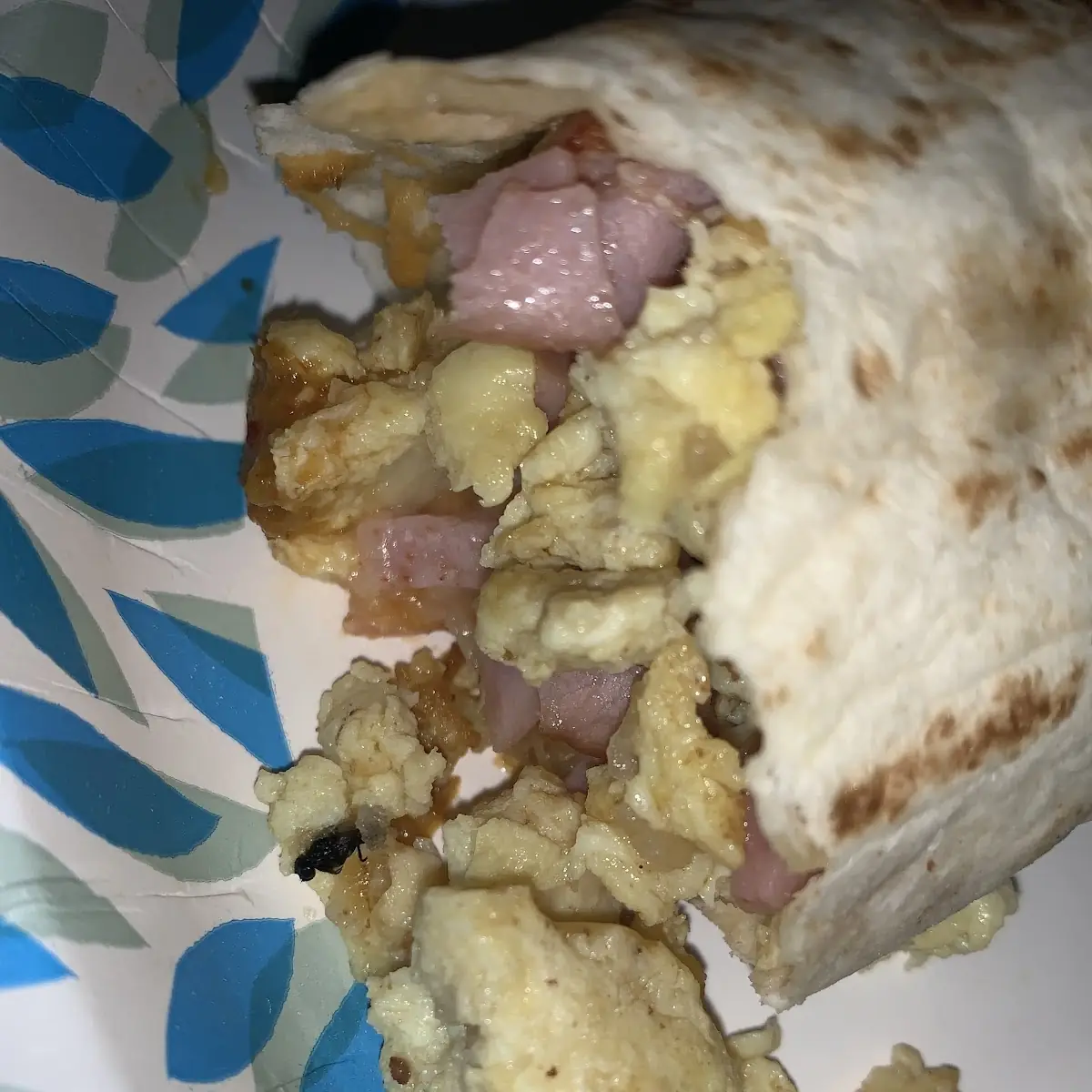 Breakfast Burrito