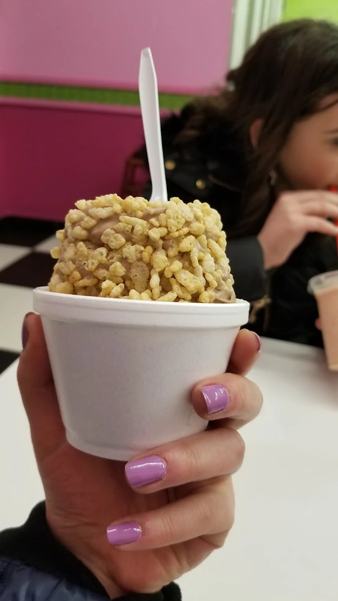 Chocolate Ice Cream with Rice Crispies