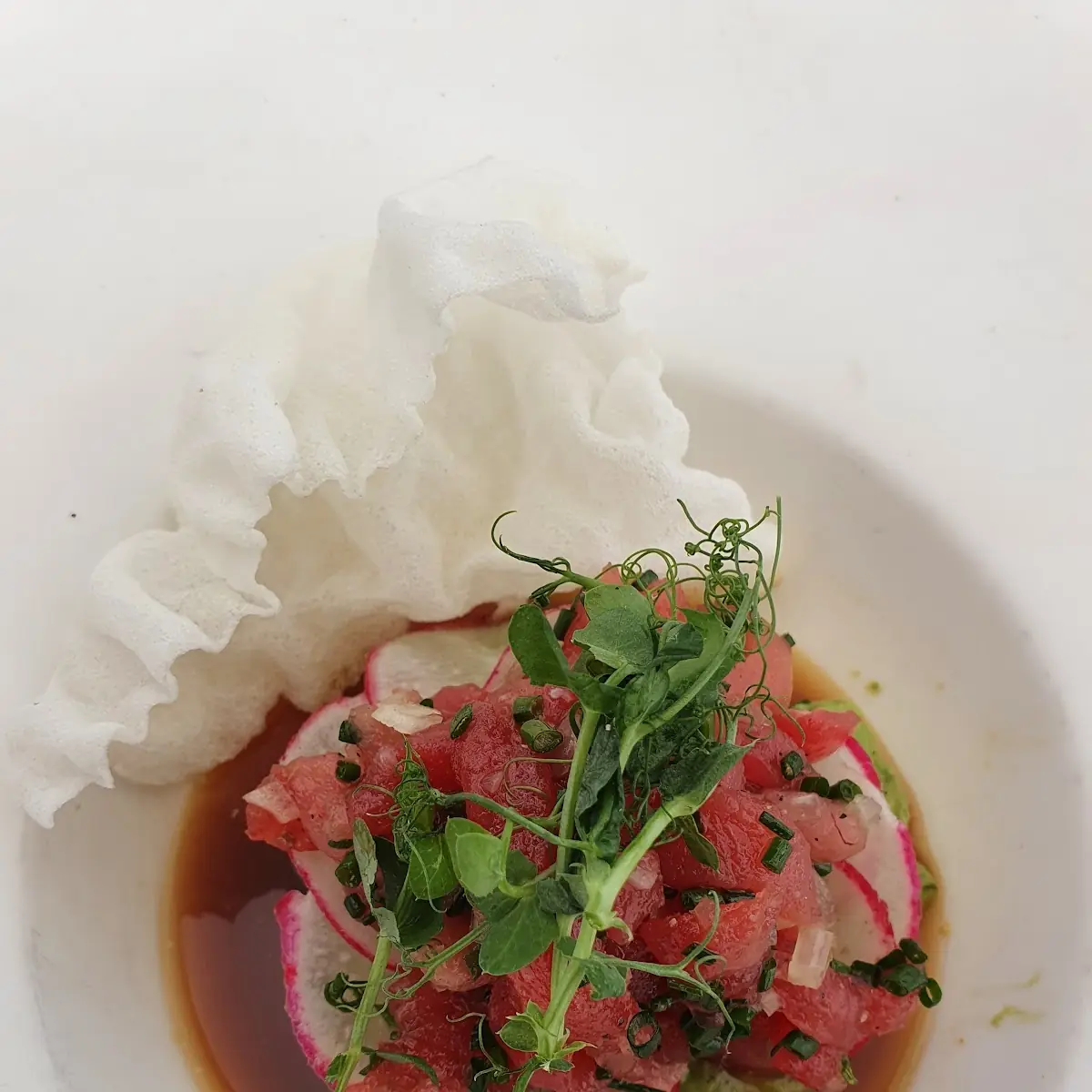 Yellow Fin Tuna Crudo