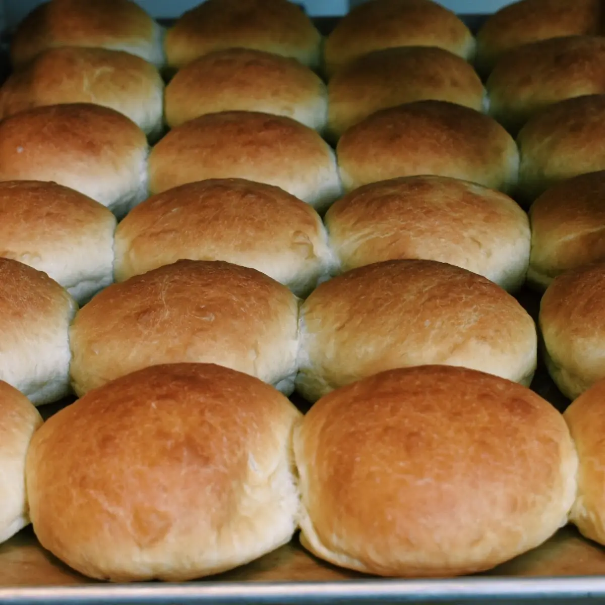 Brioche Sandwich Rolls Half Dozen