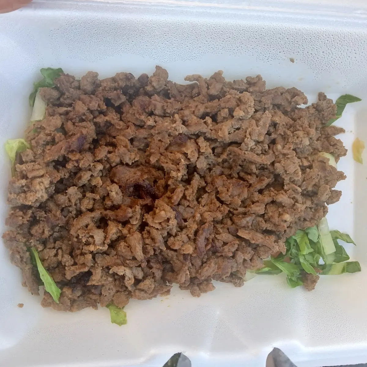 Chicken Shawarma or Chicken Kabob Lunch