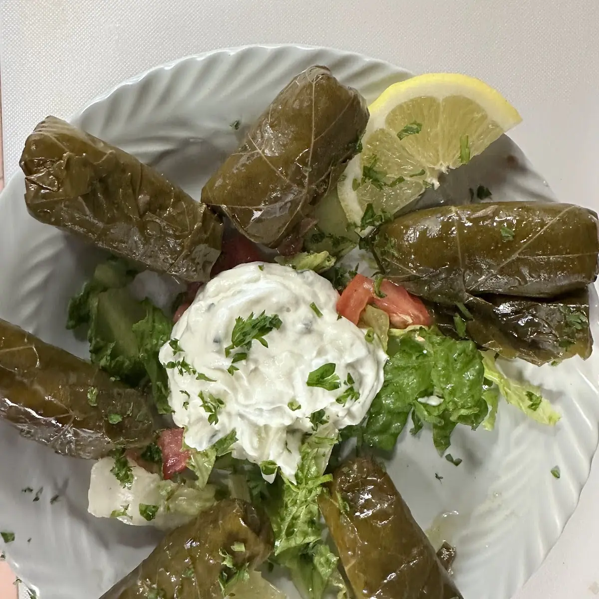 Dolmadakia Grape Leaves Appetizer
