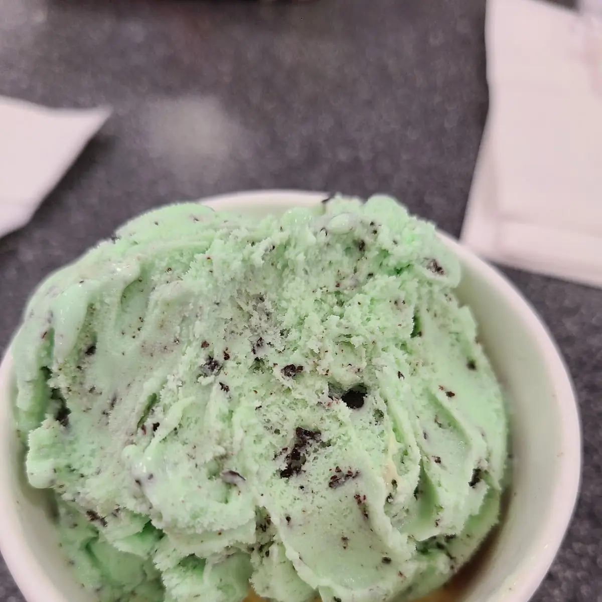 Mint Chocolate Ice Cream