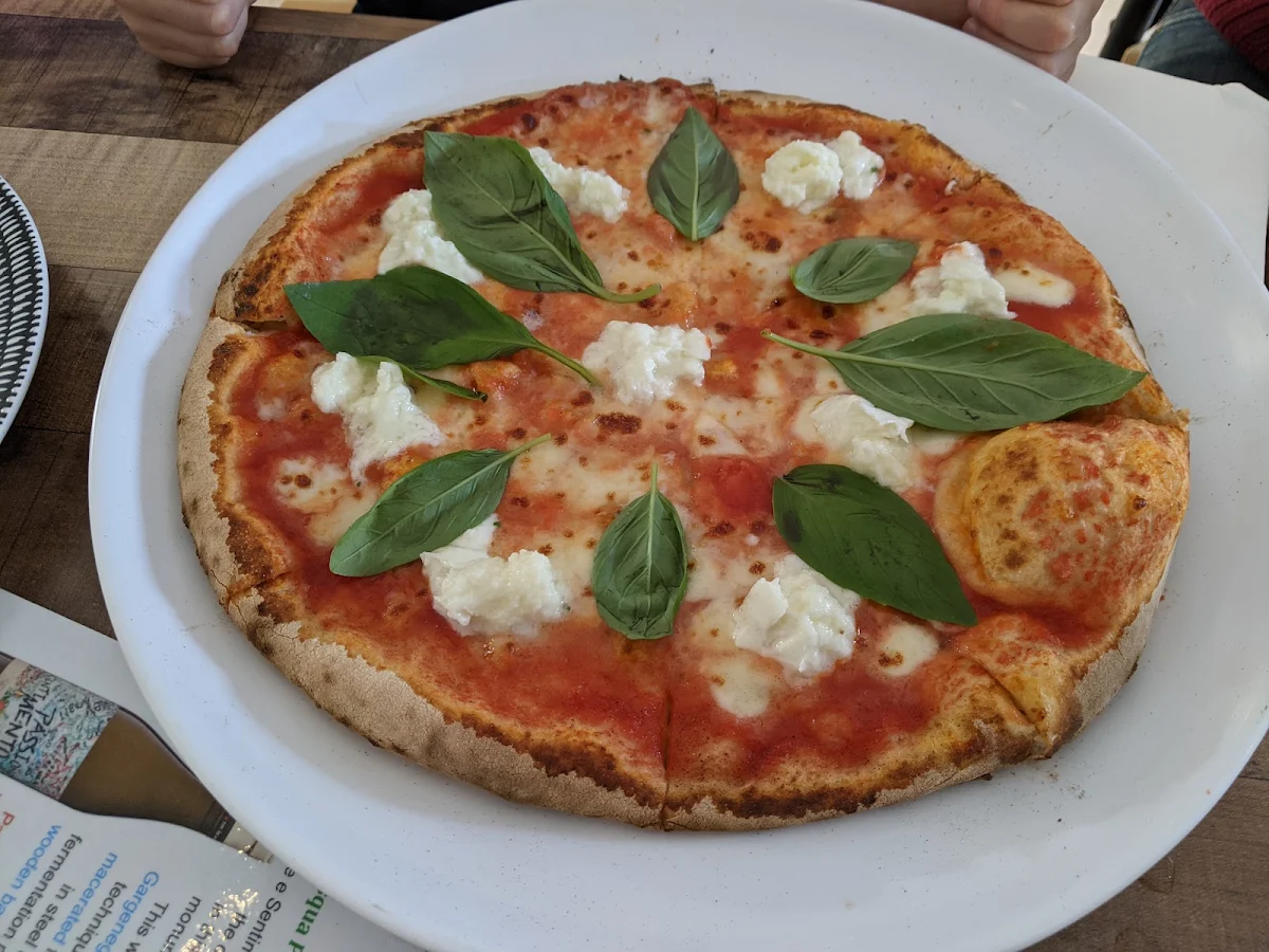 Margherita V