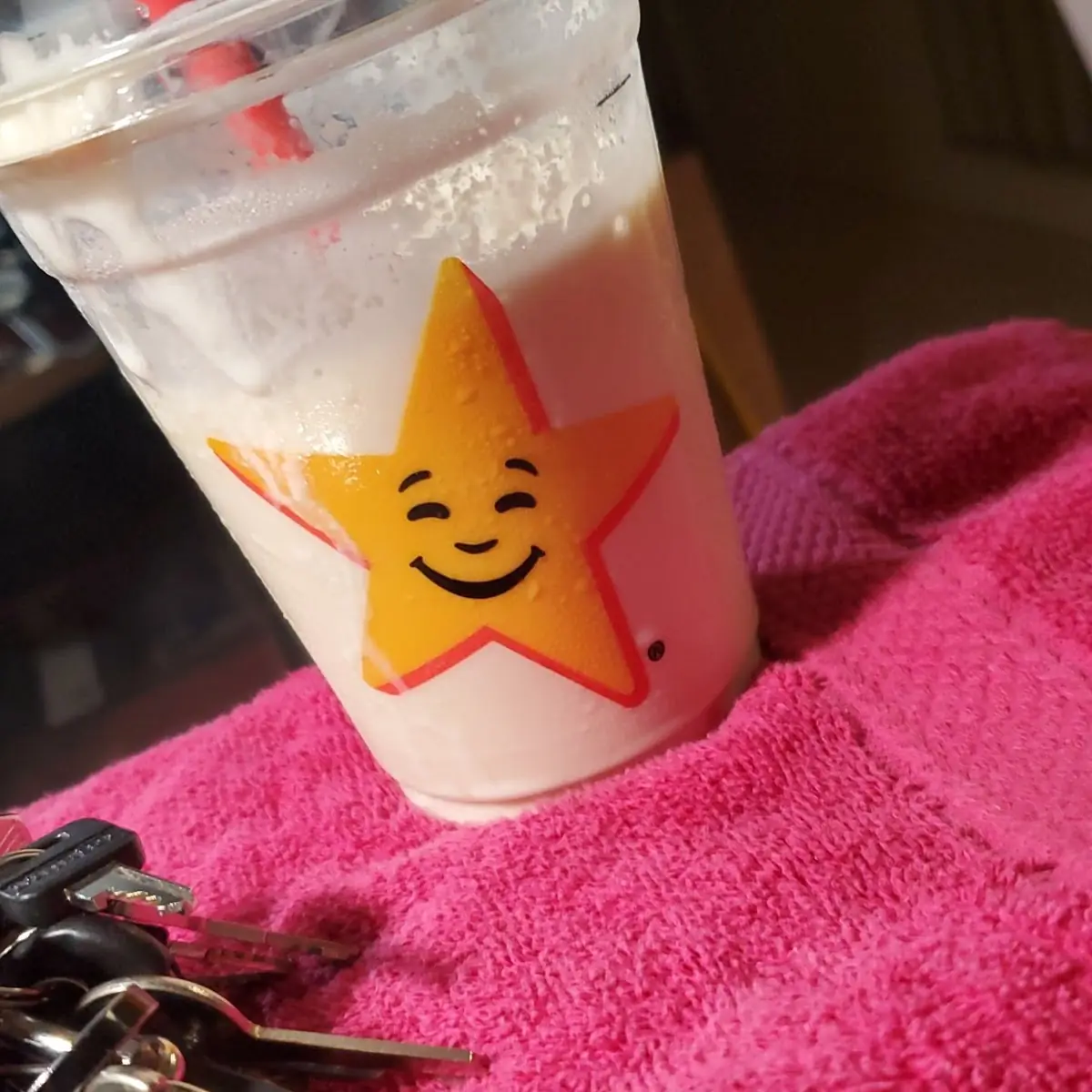 Vanilla Ice Cream Shakes