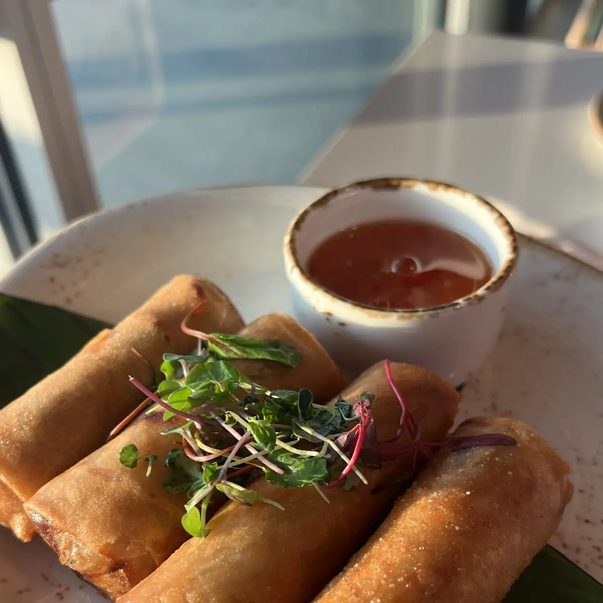 Vegetarian Spring Rolls