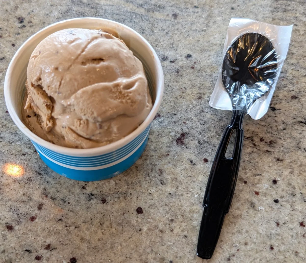 Cappuccino Crunch Ice Cream