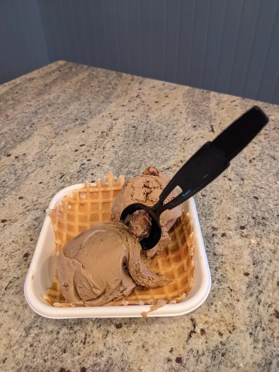 Chocolate Peanut Butter Ice Cream