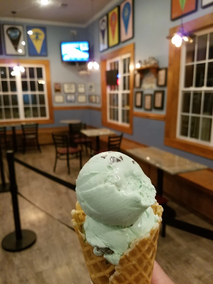 Mint Chocolate Chip Ice Cream Cone