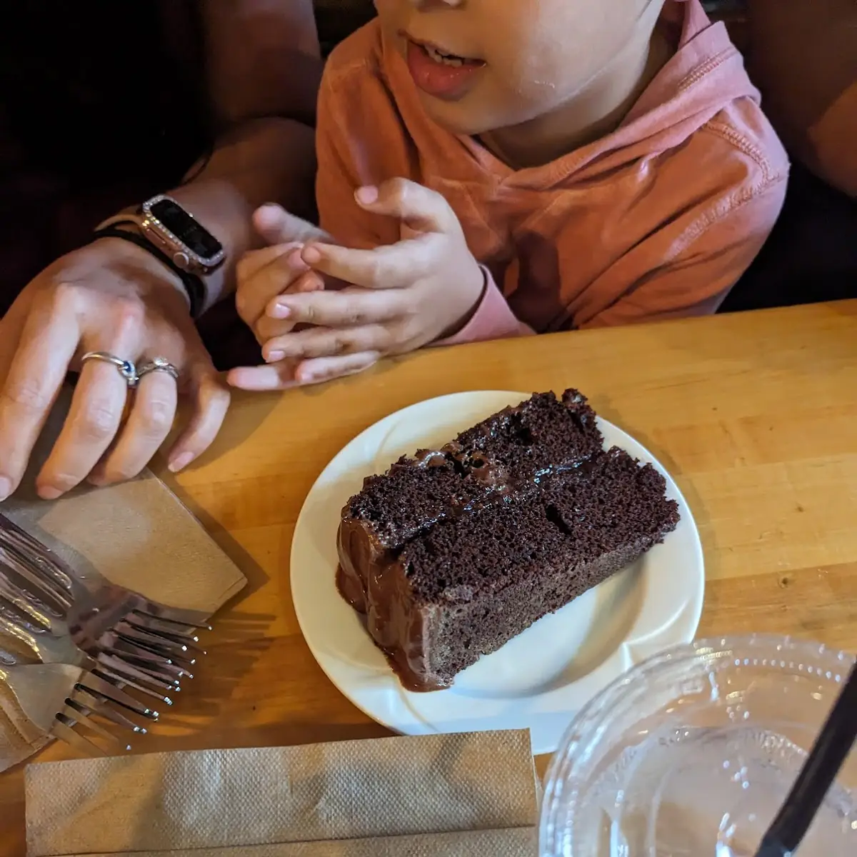 Vegan Chocolate Cake Slice