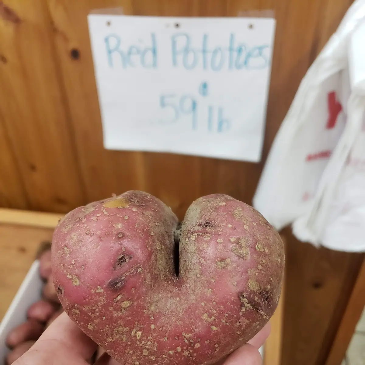 Sweet Potato