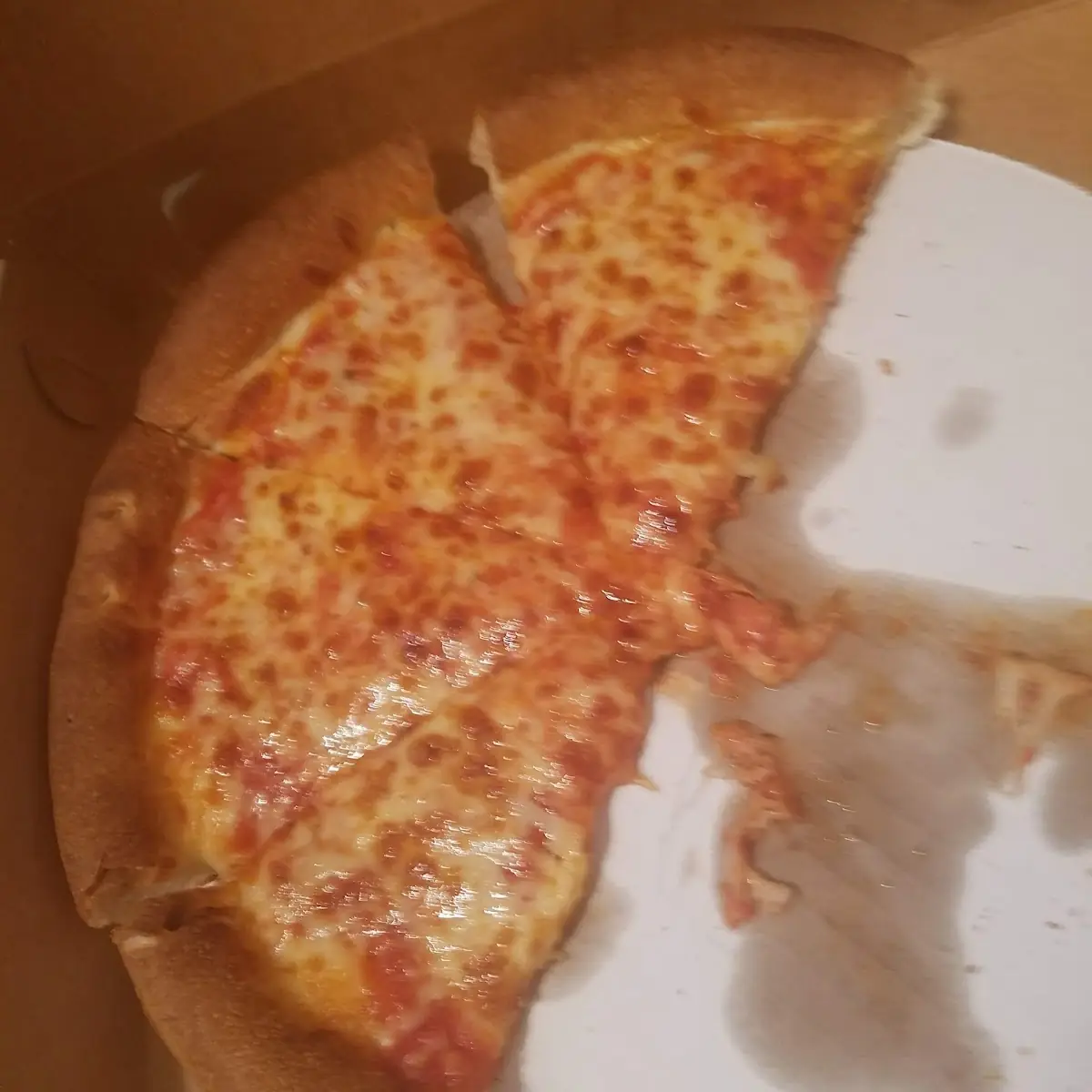 Cheese Quesadilla