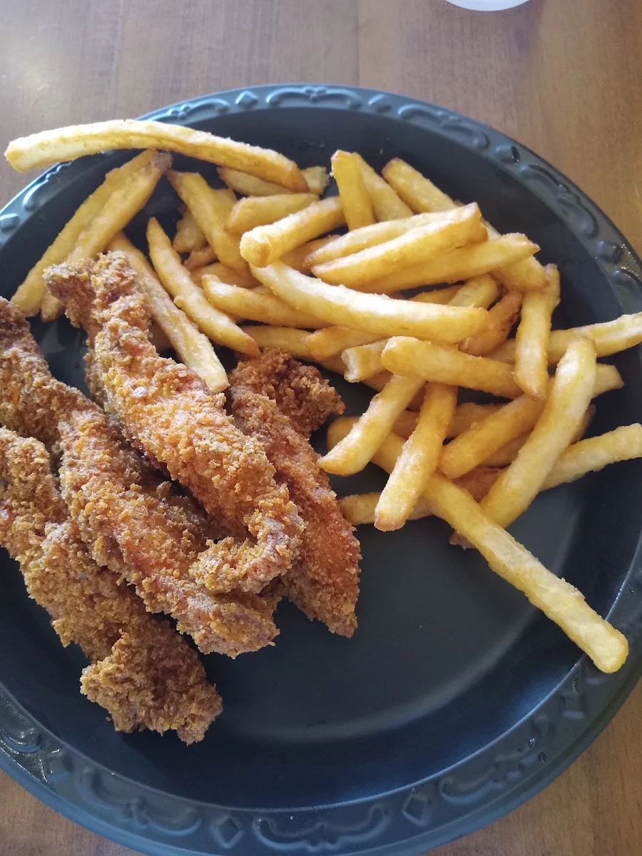 Kids Chicken Strips