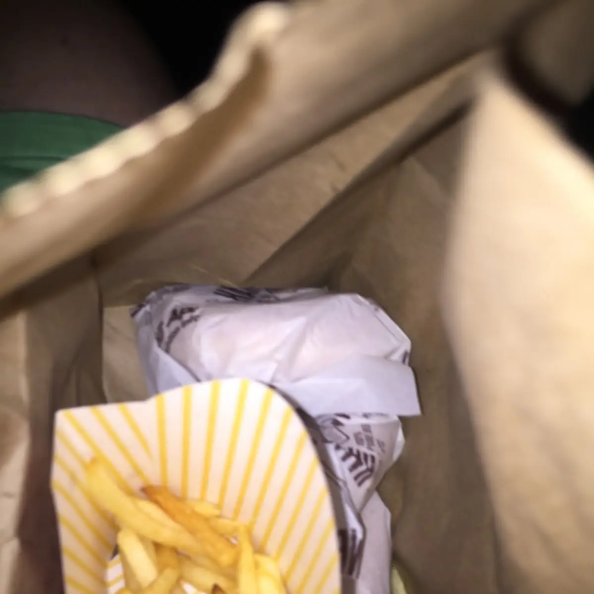 World Famous Fries