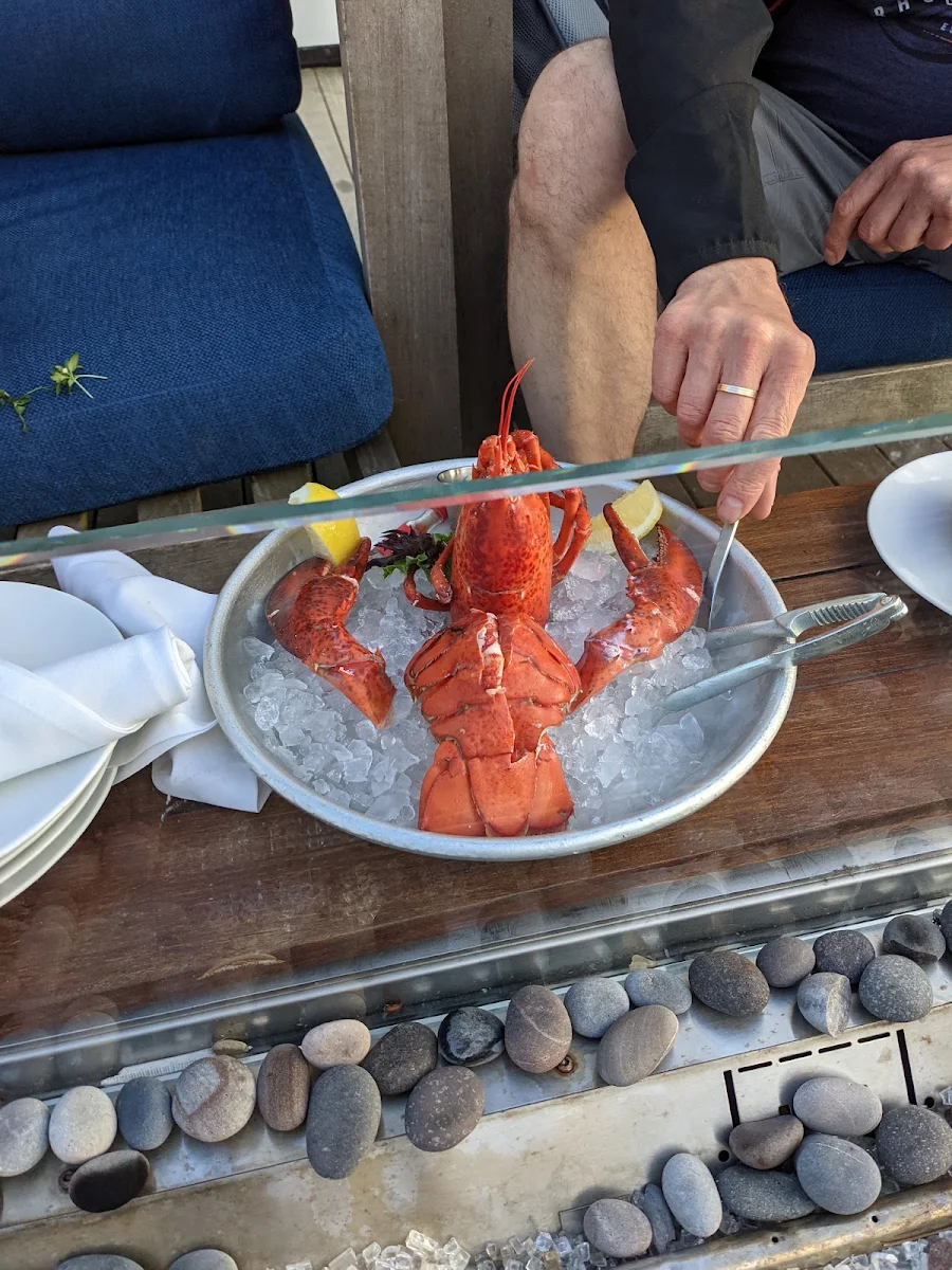 Cold Lobster Tail