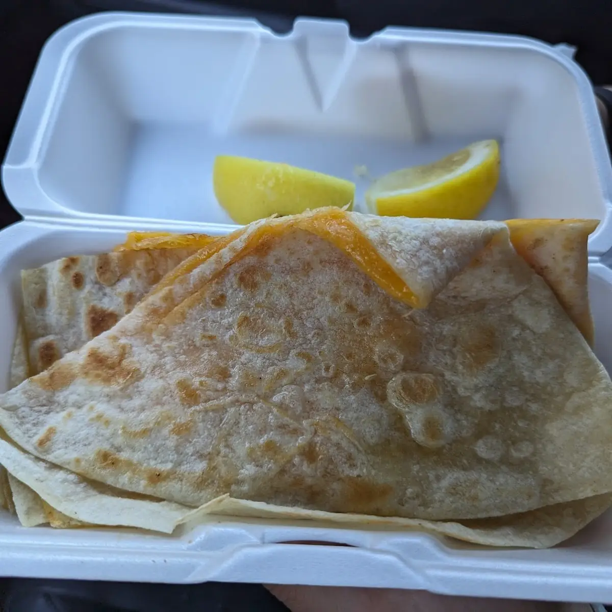 Cheddar Cheese Quesadilla