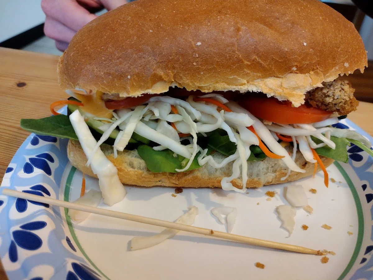 Fish Bahn MI