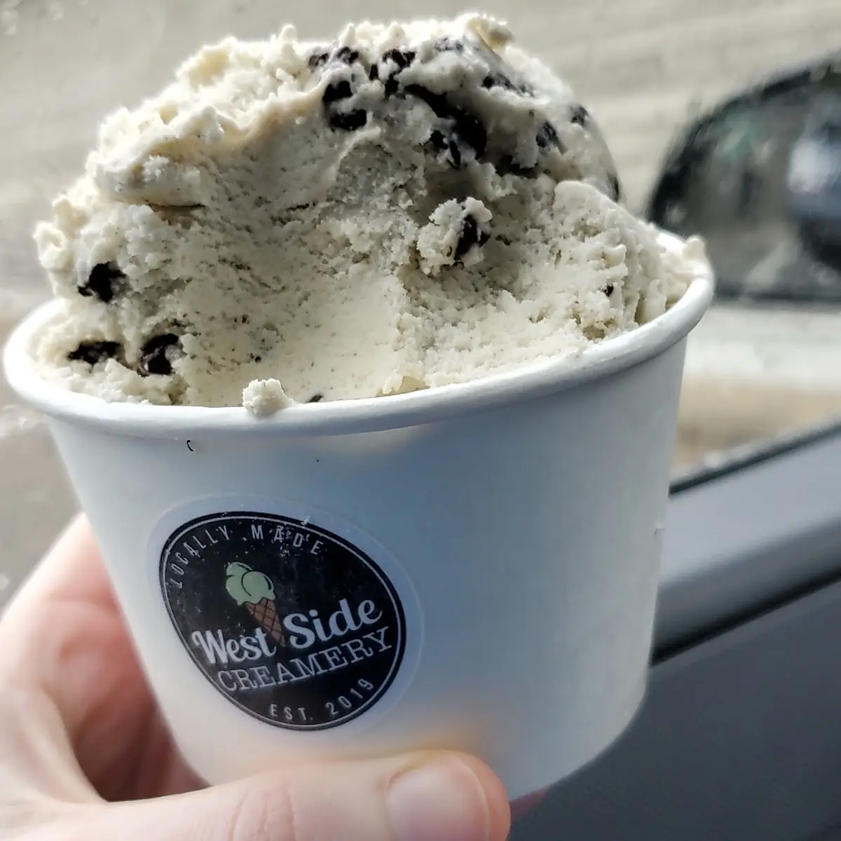 Vegan Mint Chocolate Chip