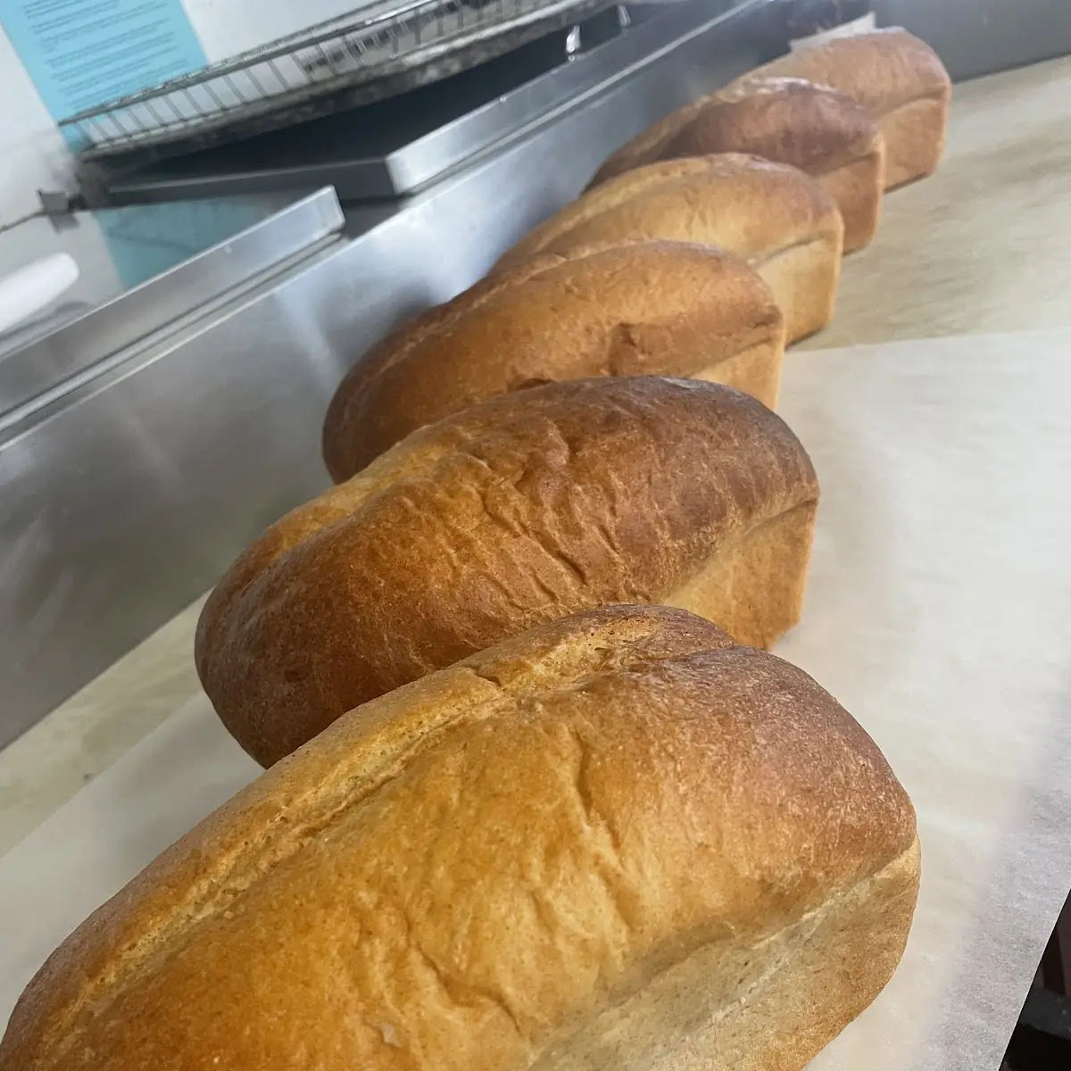Whole Wheat Bread