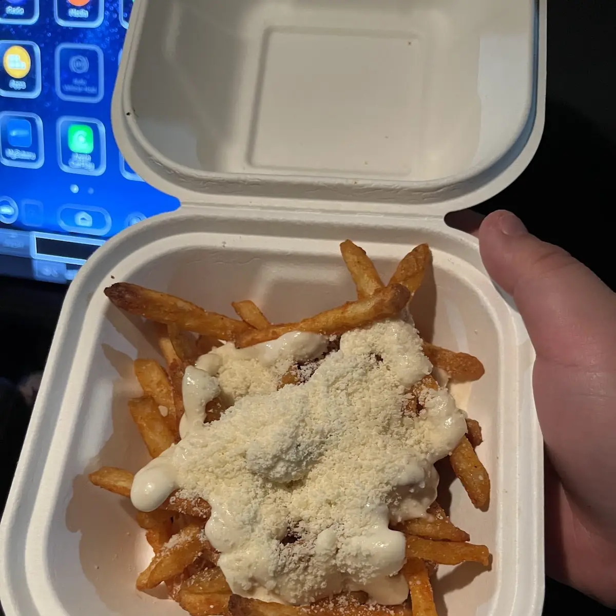Garlic Parmesan Fries
