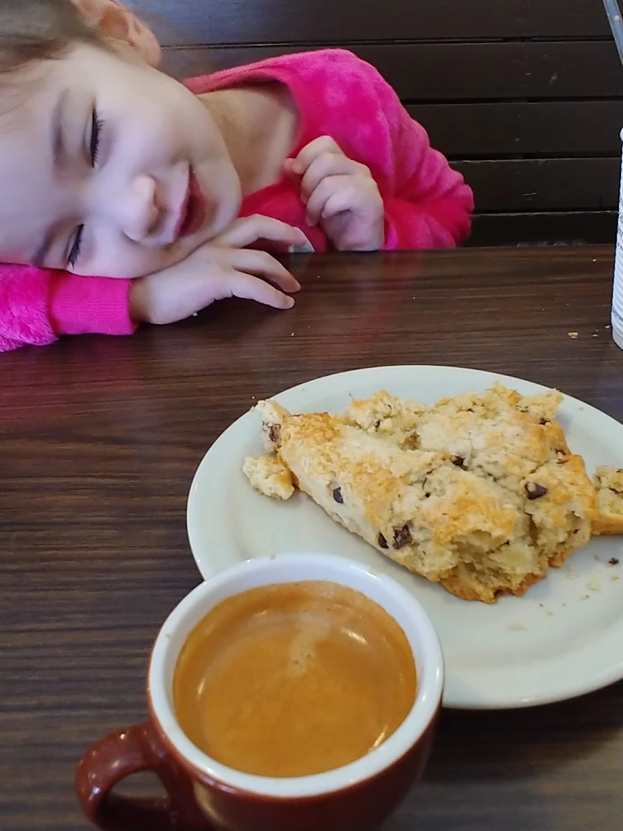 Chocolate Chip Scone Milano