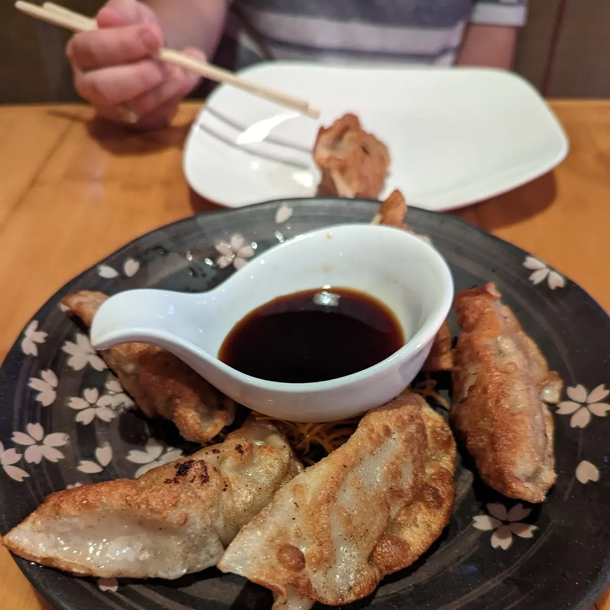 Pan-Seared Gyoza Pork Dumpling