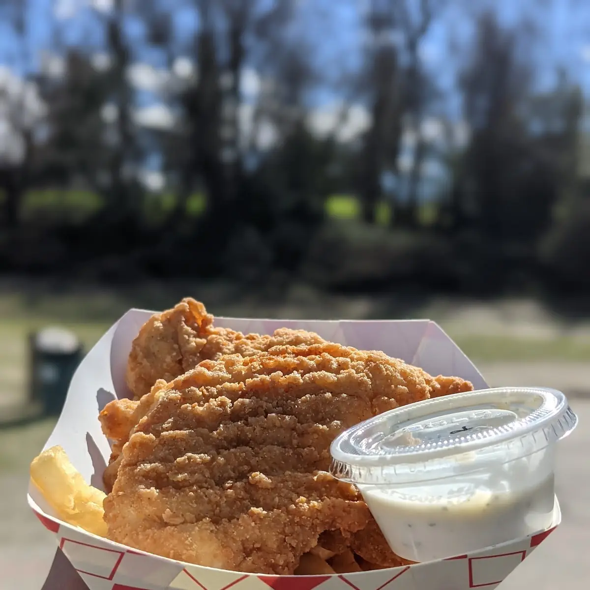 5 Chicken Strips