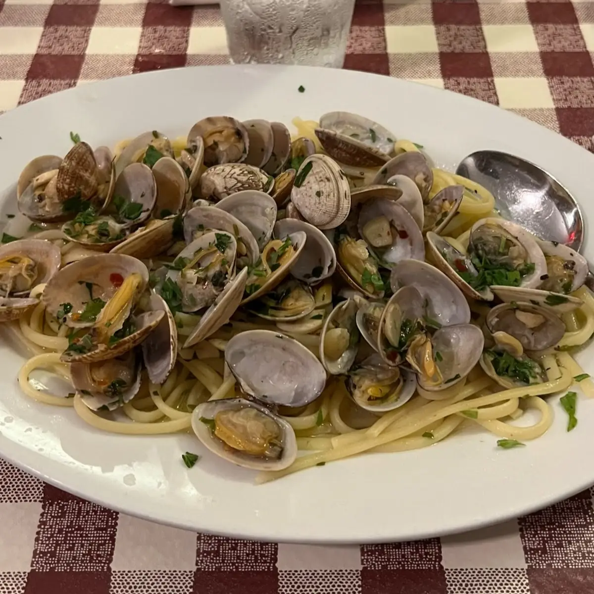 Linguine Vongole in White Sauce