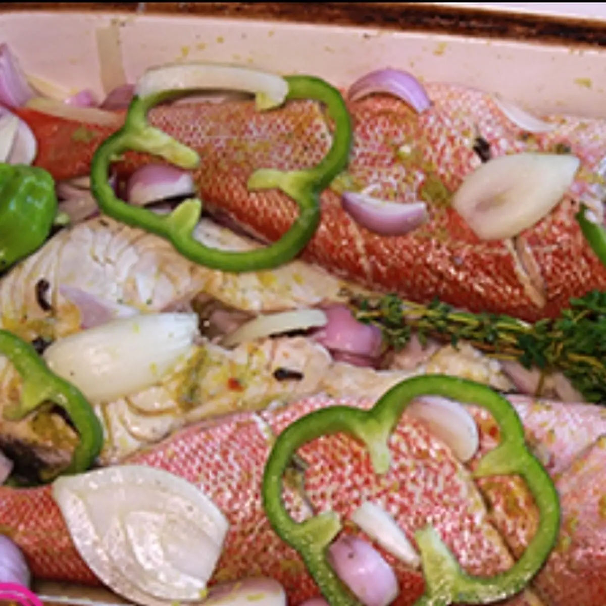 Red Snapper Pwason Gros Sel