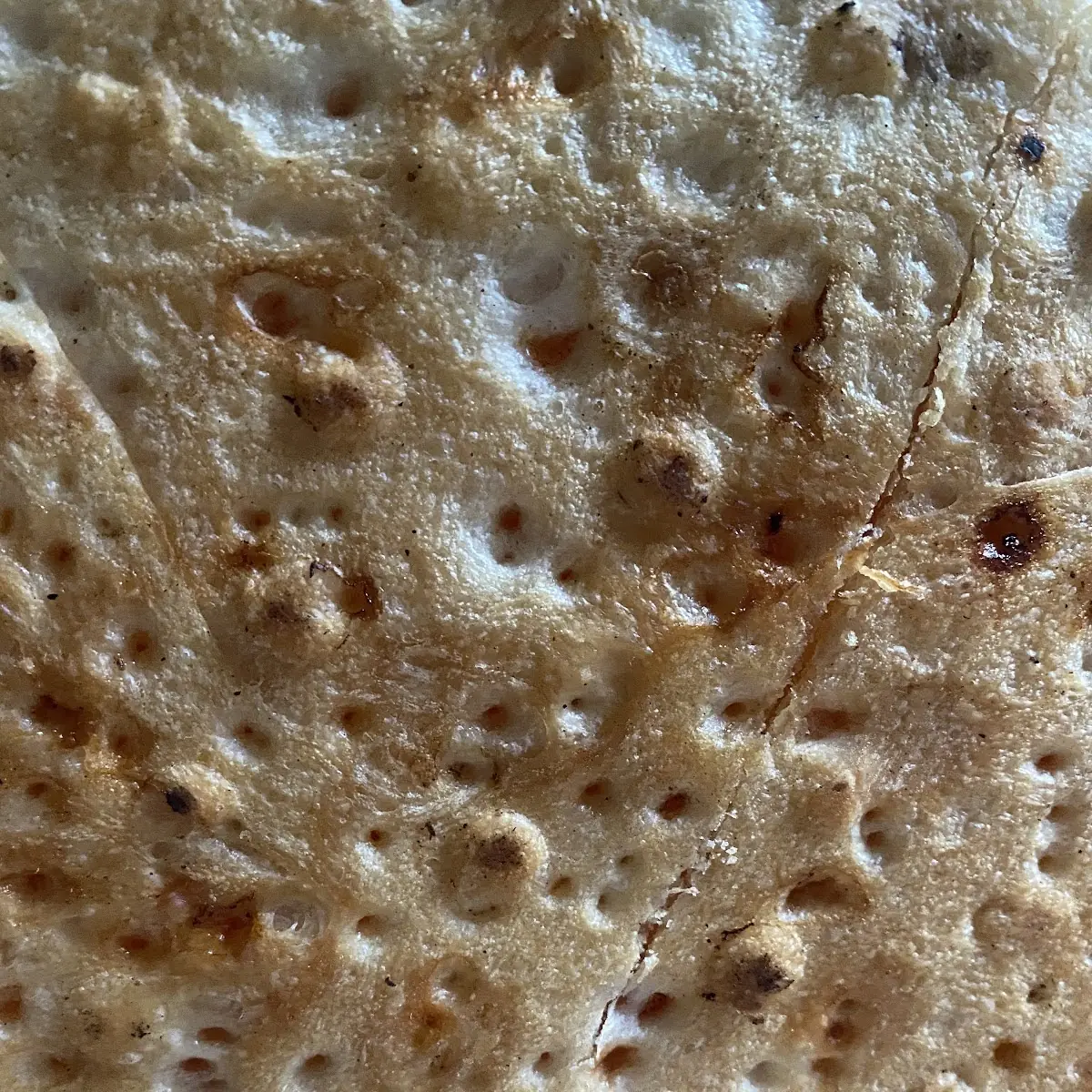 Pizza Crust