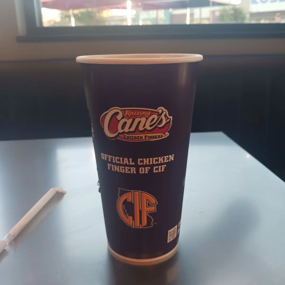 Large Unsweet Iced Tea