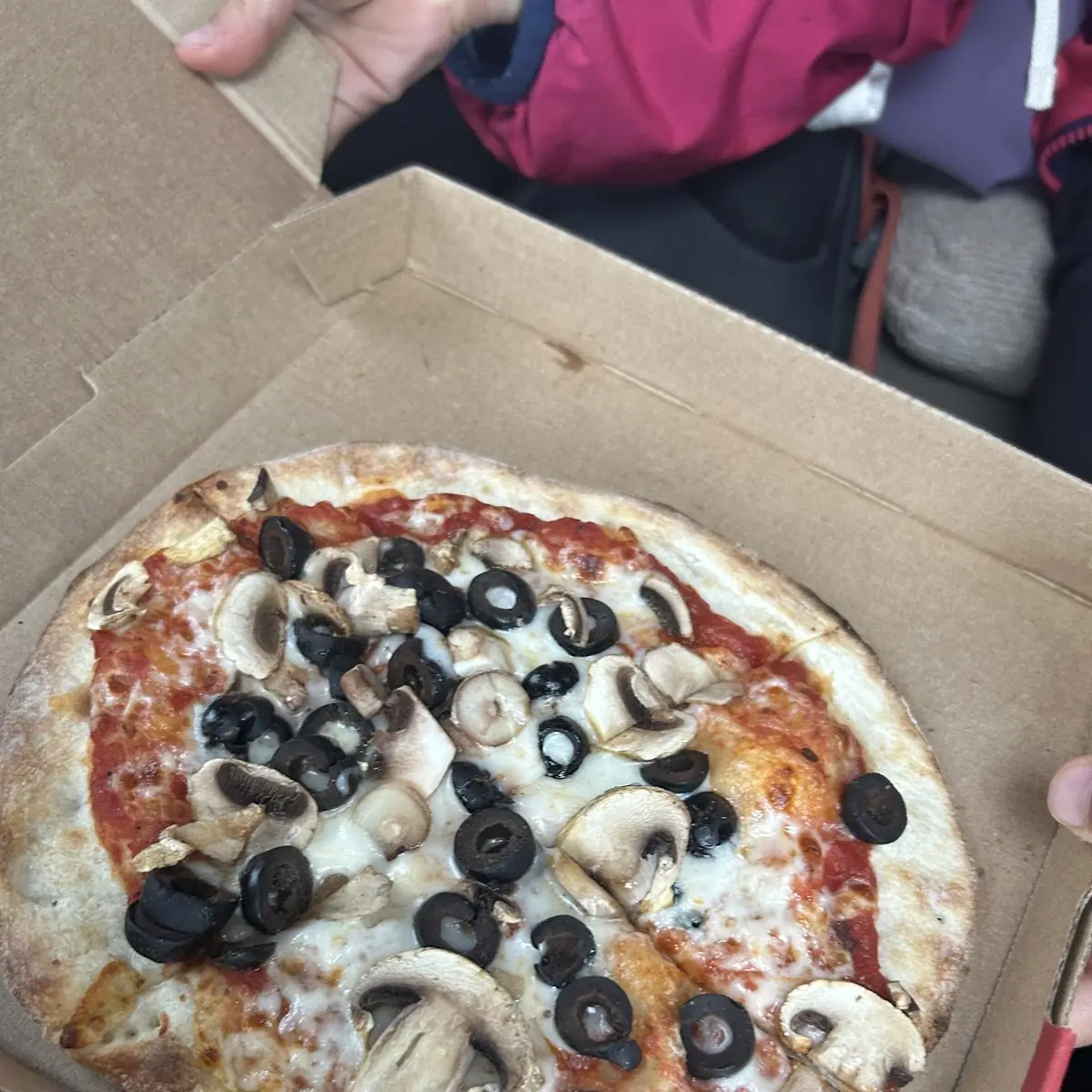 Mushroom and Olive Pizza