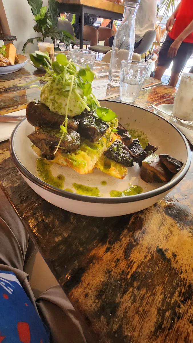 Sauteed Field Mushys Were Poached Egg Lime & Coriander Oil on Turkish Bread, Thyme Cafe Bar