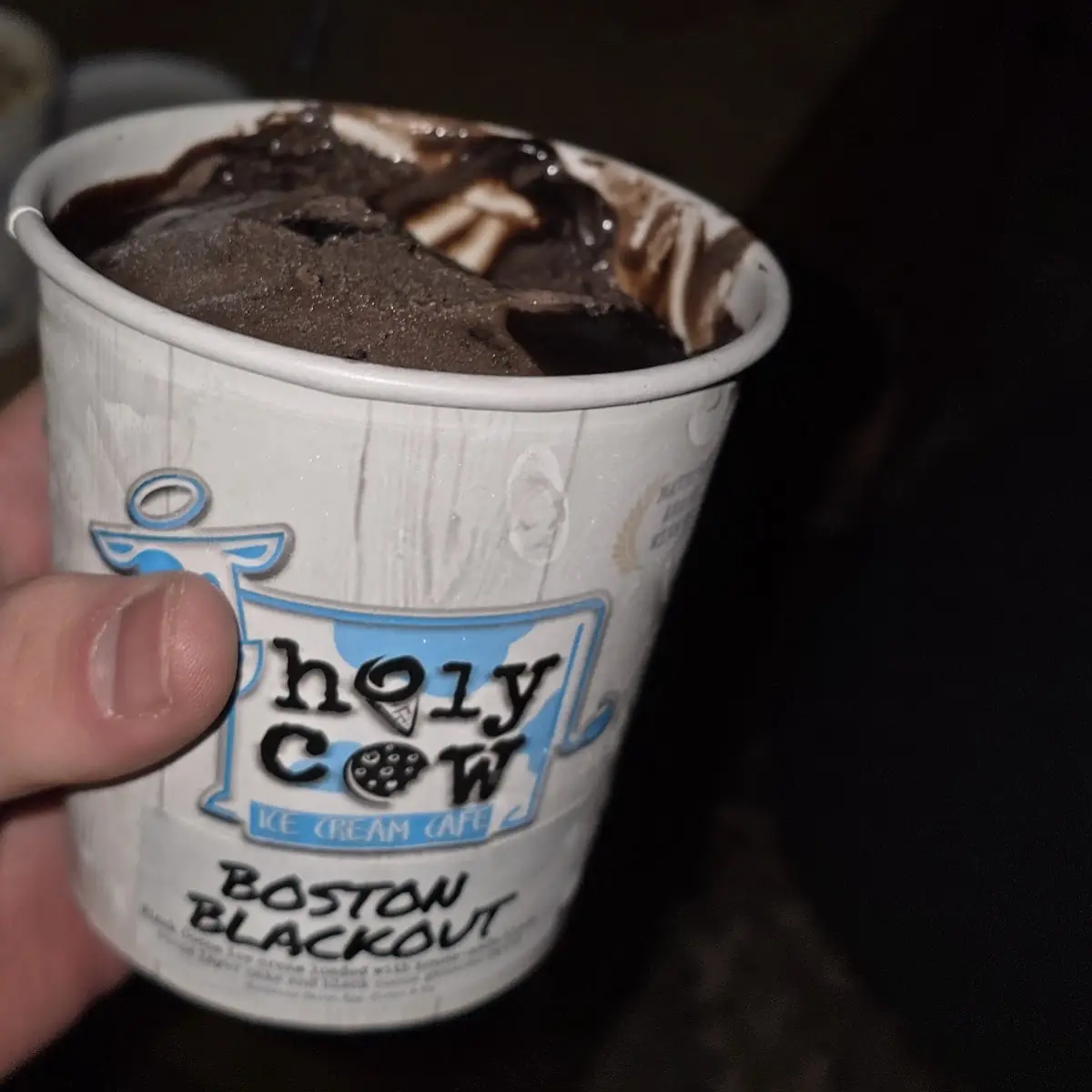Chocolate Cake Ice Cream