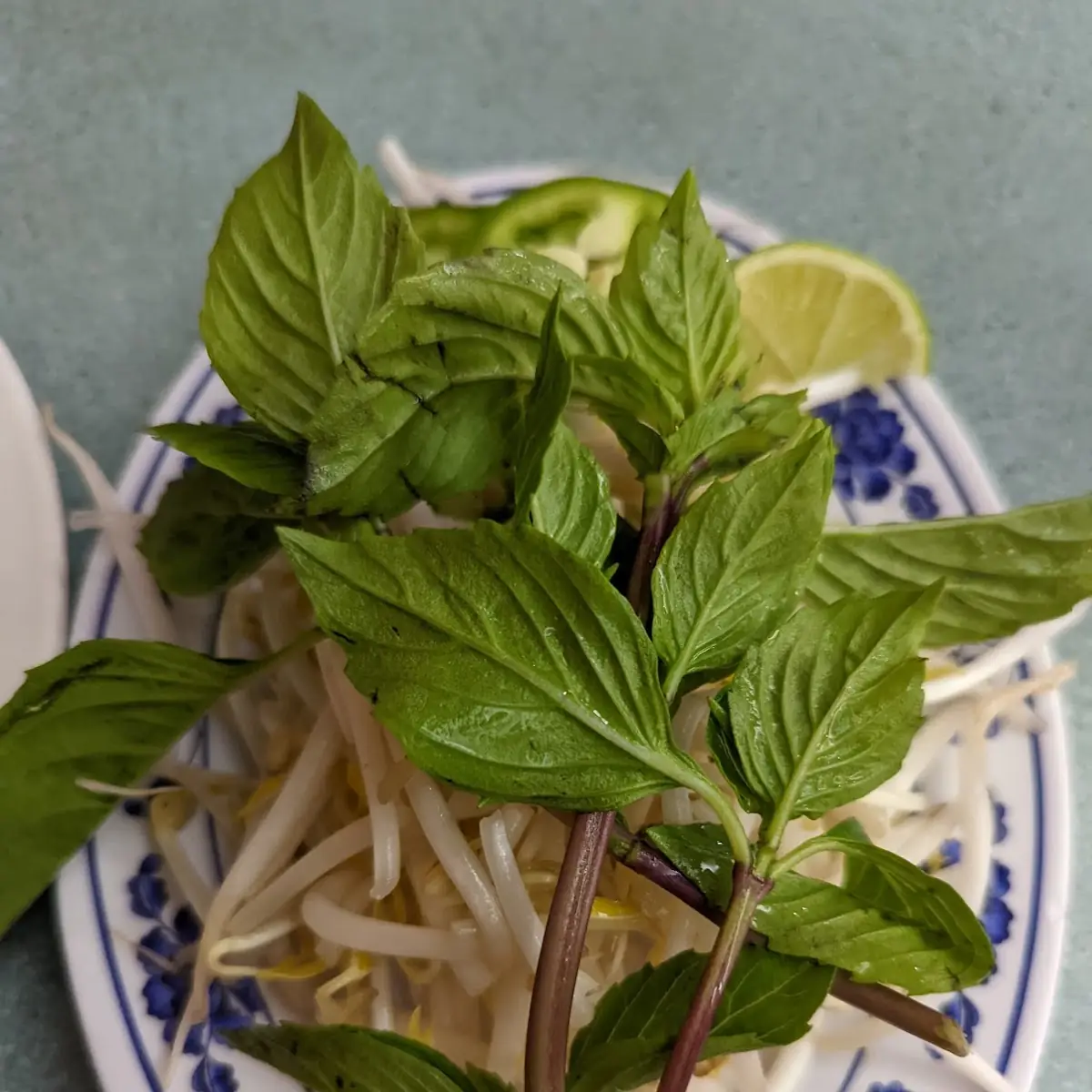 Side of Beansprout Thai Basil Lime & Jalapenos