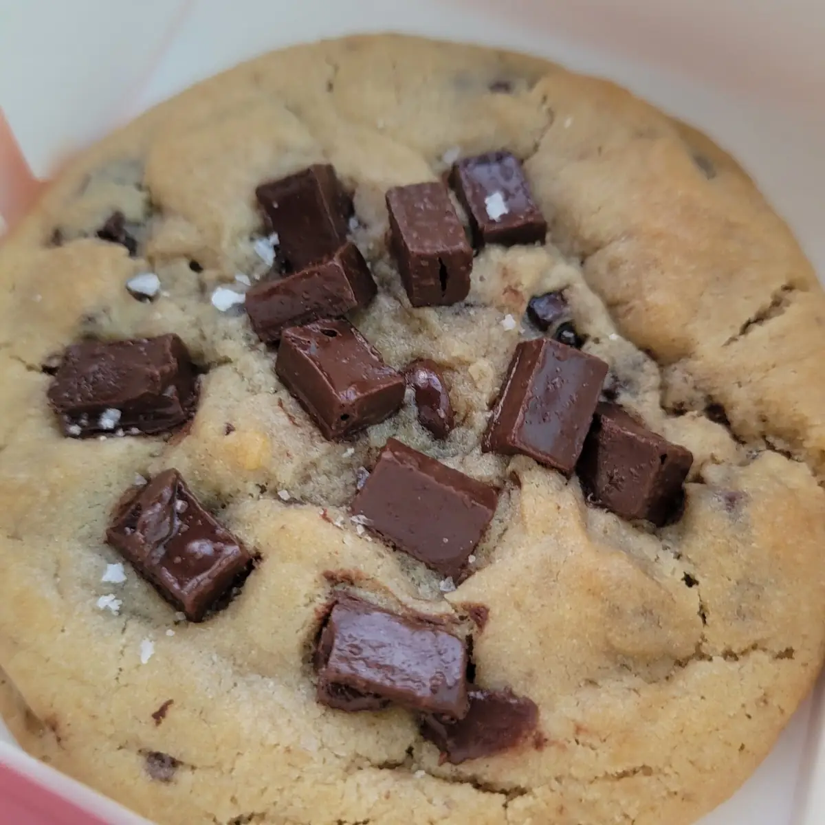 Chocolate Chip Cookie
