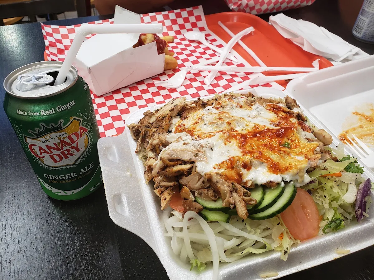 Highlights, Amazing Shawarma Restaurant