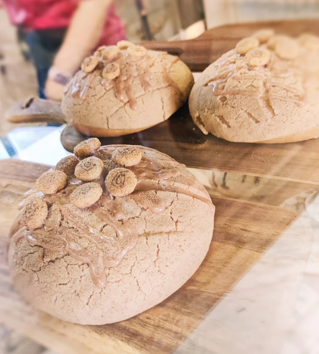 Choco Abuelita Conchas
