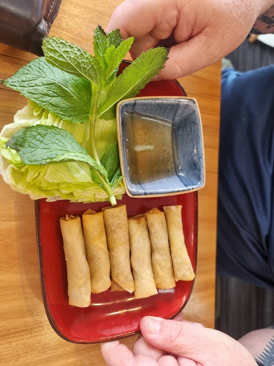 Home Made Spring Rolls