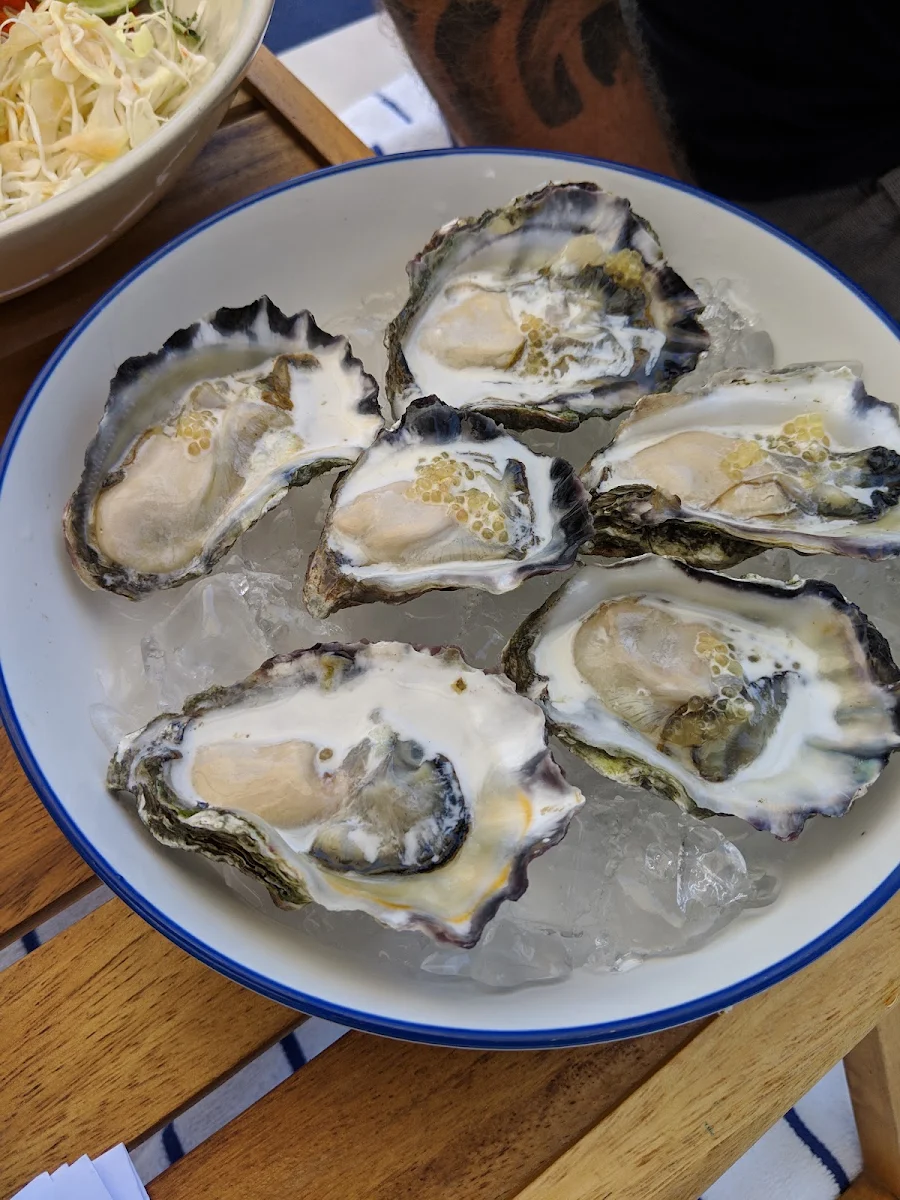 Fresh Oysters