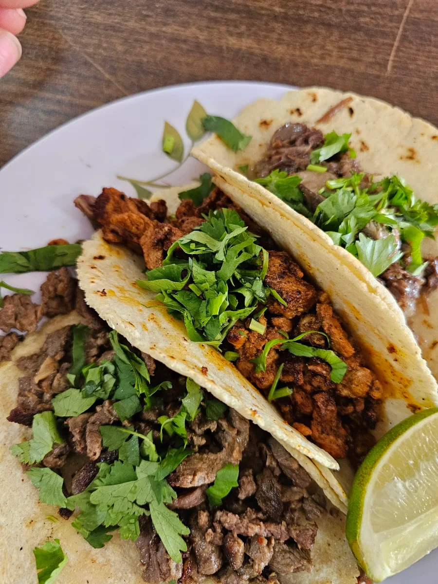 Steak Taco Asada