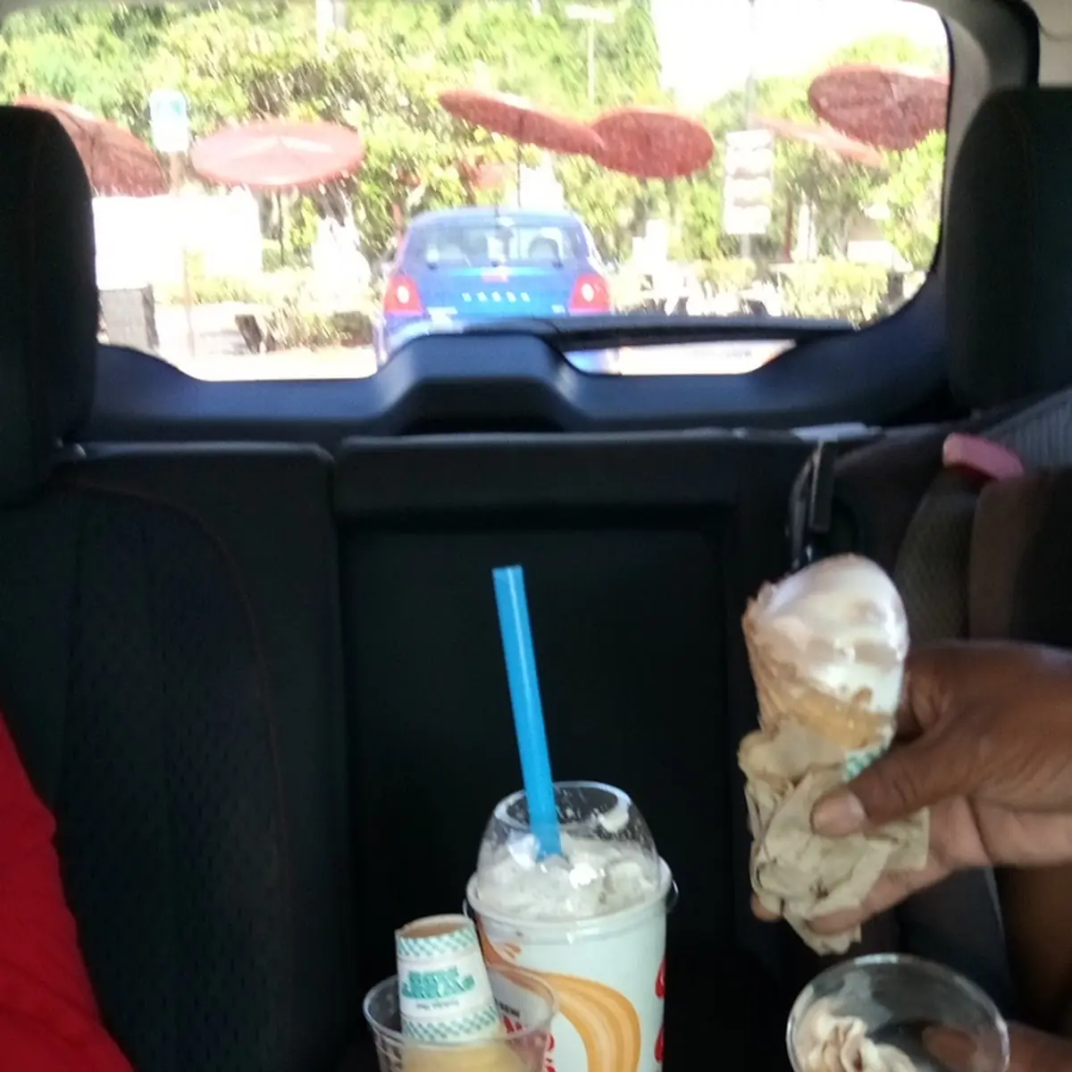 Ice Cream and Milk Shakes