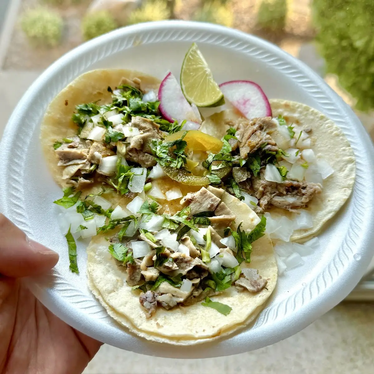 Tacos De Buche