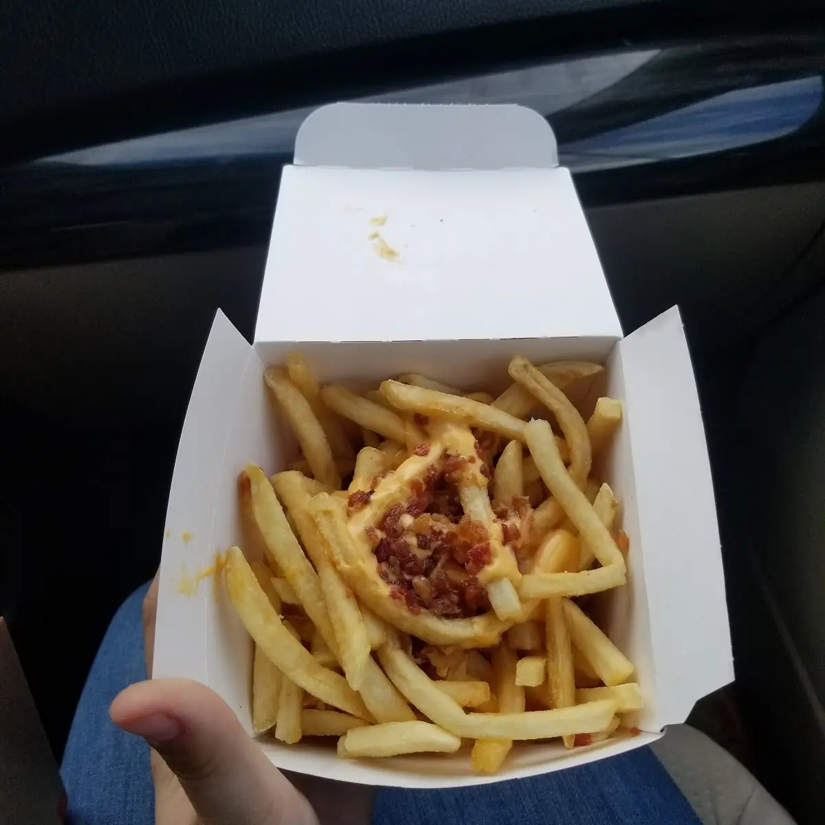 World Famous Fries