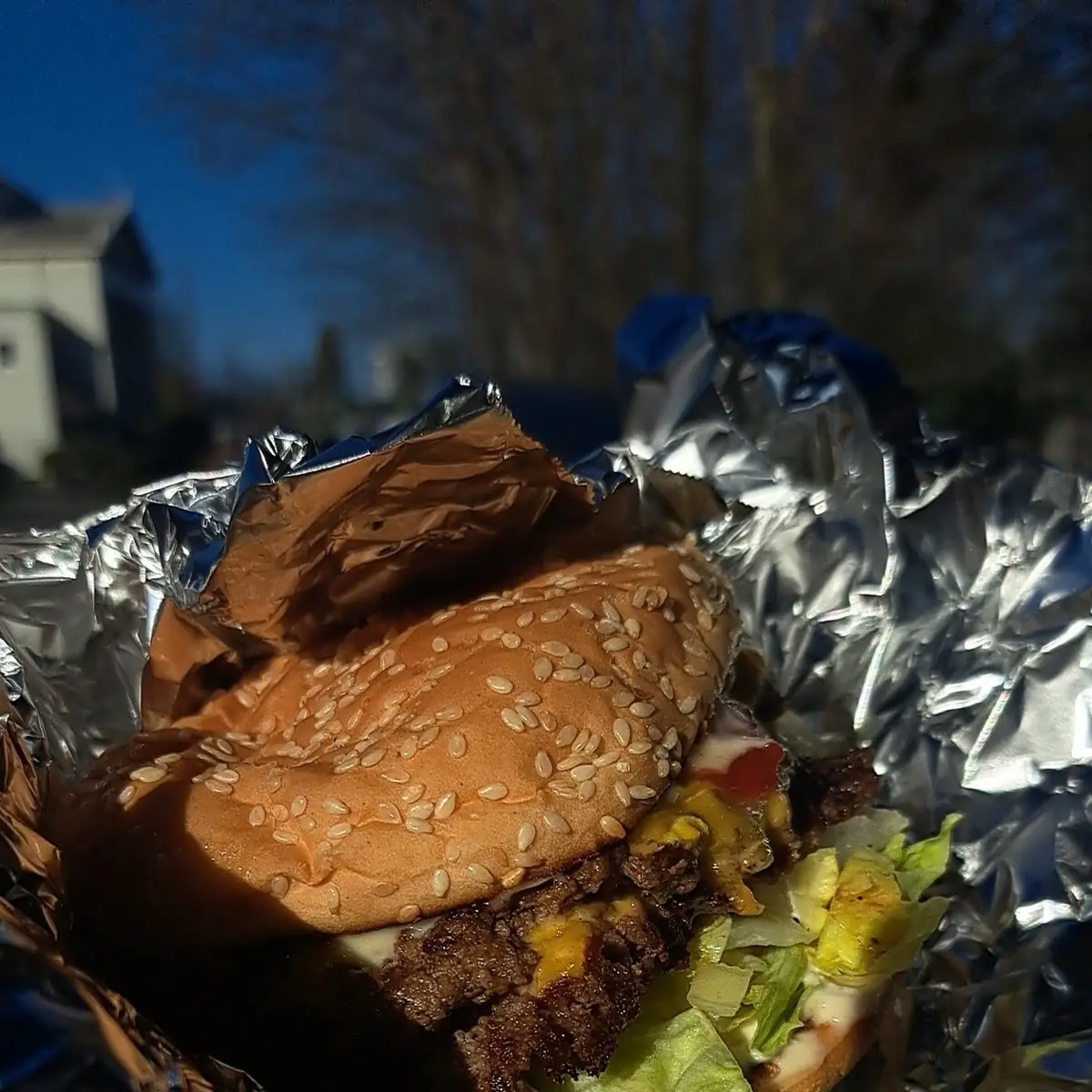 Double Bacon Cheeseburger Deluxe