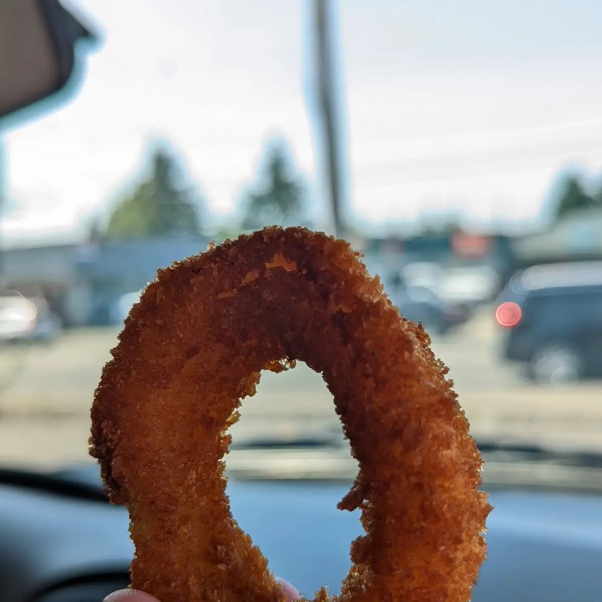 Onion Rings