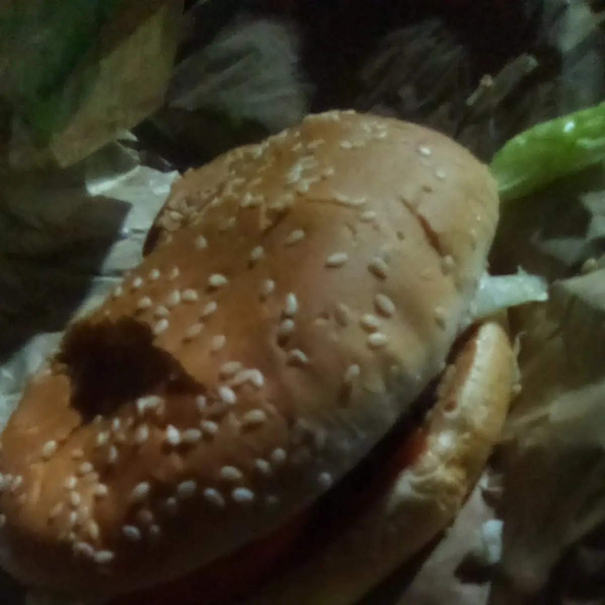 The Whopper After Dark