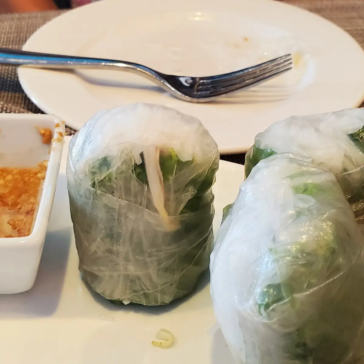 Vegetable Spring Rolls 2