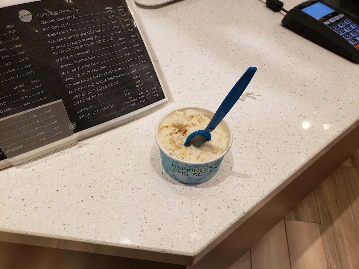 Toasted Coconut Ice Cream